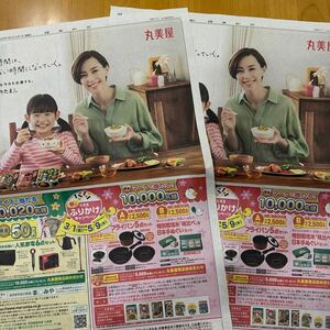 .. газета все реклама 2 листов круг прекрасный магазин приправа фурикакэ Kimura Yoshino 