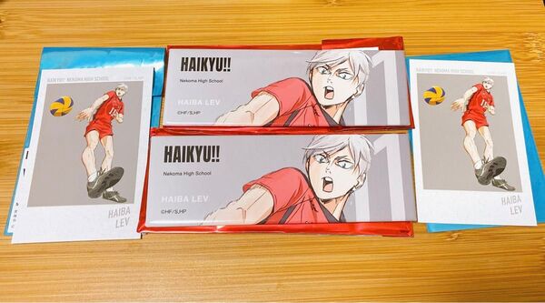 【ハイキュー】 リエーフ セット