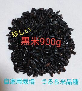 黒米900g 　古代米