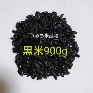 黒米900g