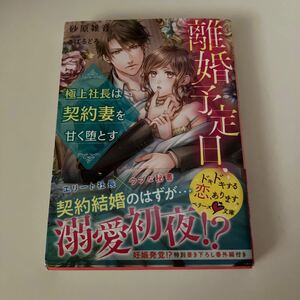 離婚予定日、極上社長は契約妻を甘く堕とす （ベリーズ文庫　す１－９） 砂原雑音／著【K1】