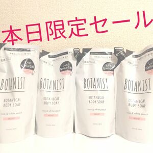 BOTANISTボタニスト　ボディーソープモイスト　豪華4点セット