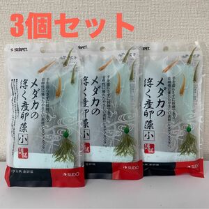 【ラスト商品】スドー　メダカの浮く産卵藻　小/ 3個セット