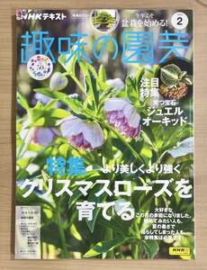 NHK趣味の園芸2024年2月号 クリスマスローズ/ジュエルオーキッド/盆栽/稲垣吾郎グリーンサム⑪ほか　送料185円