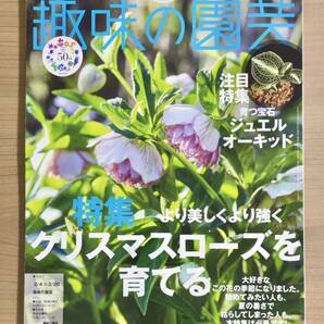 NHK趣味の園芸2024年2月号 クリスマスローズ/ジュエルオーキッド/盆栽/稲垣吾郎グリーンサム⑪ほか 送料185円の画像1