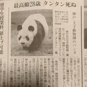 【最高齢28歳 タンタン死ぬ】2024年4月2日 読売新聞 記事 　ジャイアントパンダ神戸市立王子動物園　旦旦