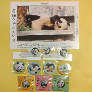 タンタン　王子動物園　缶バッジ　ピンバッジ　セット　パンダ　Panda　ジャイアントパンダ　シャンシャン　シャオシャオ レイレイ