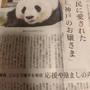 4/3 神戸新聞 タンタン 市民に愛された 「神戸のお嬢様」パンダ Panda 新聞記事 ジャイアントパンダ シャンシャンの画像1