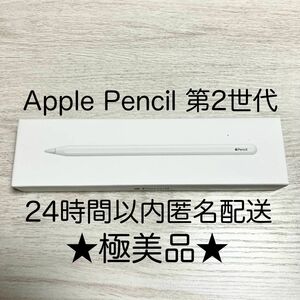 ★極美品・動作確認済★アップルペンシル 第2世代 Apple pencil