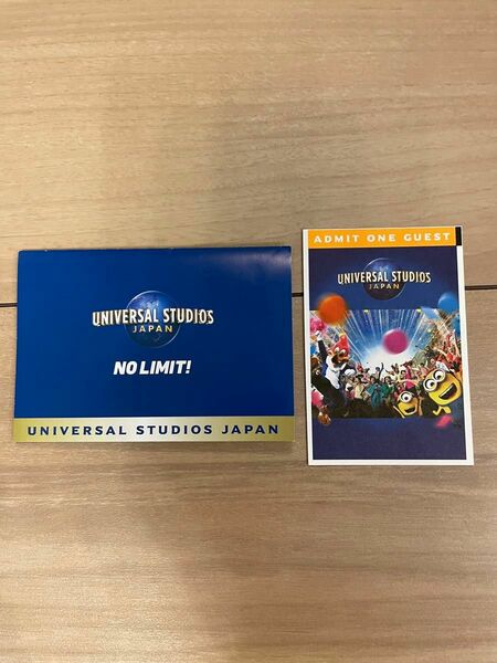 ユニバーサルスタジオジャパン USJ チケット 大人　1枚