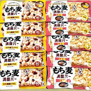 92 お得大量　もち麦満腹バー 10個　ごま鮭　十六雑穀プラス　UHA味覚糖　クーポン利用　ポイント消化 お菓子詰め合わせ