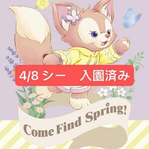 4/8 カムファインドスプリング　ディズニーシー　グッズ購入用