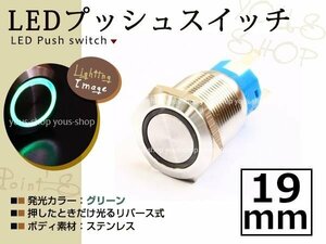 埋込式モーメンタリ リング プッシュスイッチ イルミ 19mm 緑 LEDリング ステンレスボディ 表面防滴仕様 イルミ 12V