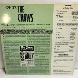 40428S 輸入盤 12inch LP★THE CROWS/GEE, IT'S THE CROWS★001071の画像2