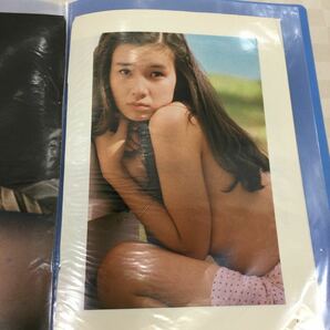 3 ※【同梱可】ポスター 昭和アイドル 雑誌付録 切り抜き ファイル入り 秋吉久美子 の画像4