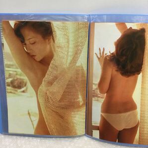 16 ※【同梱可】レア ポスター 昭和アイドル 雑誌付録 切り抜き ファイル入り 坂口良子 の画像6