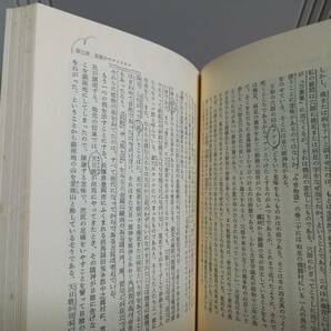 単行本 谷川 健一 青と白の幻想 青銅の神の足跡 2冊セット 1979年発行 hm2404の画像7