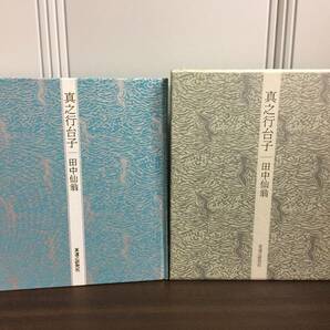 入手困難 書籍 真之行台子 田中仙翁 茶道之研究社 平成7年2刷発行 A52404の画像2