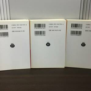 岩波文庫 ドストエフスキー 罪と罰 全3冊セット 全巻セット 江川 卓 訳 2008-14年発行 J112404の画像7