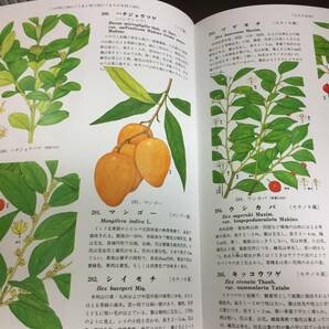 原色牧野植物大図鑑 続編 定価30900円 60size2404の画像7