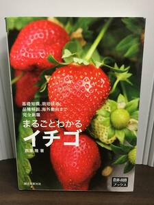 入手困難　単行本　まるごとわかるイチゴ: 基礎知識、栽培技術、品種解説、海外動向まで完全網羅　J102404