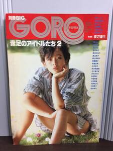 雑誌　別冊BIG GORO 素足のアイドルたち2　D524