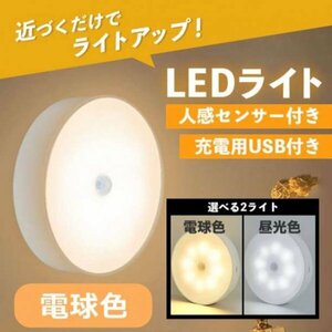 センサーライト 室内 人感 LED 廊下 天井 USB 明暗 暖色215