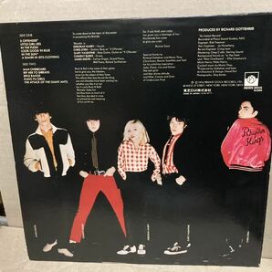 BLONDIE【LP】PUNK/NEWWAVE/パンク天国/RAMONES/JOAN JETT/RUNAWAYSの画像2