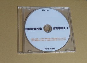 柳恵梨菜 特典ディスク2 ブルーレイ デジタル出版 競泳水着