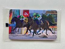 未開封　NO2549 第69回東京大賞典　ウシュバテソーロ　まねき馬倶楽部　競馬　カード_画像1