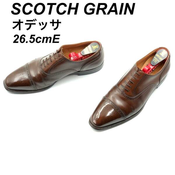 即決 SCOTCH GRAIN スコッチグレイン オデッサ 26.5cmE 920DBR メンズ レザーシューズ ストレートチップ 茶 ブラウン 革靴 皮靴 ビジネス