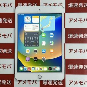 iPad mini 第5世代 64GB au版SIMフリー バッテリー87% 極美品[251113]