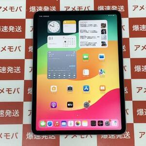 iPad Pro 11インチ 第3世代 256GB 海外版Wi-Fiモデル バッテリー92%[252013]