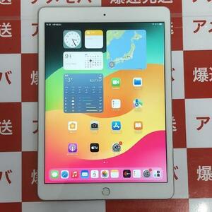 iPad 第7世代 32GB Wi-Fiモデル バッテリー97% 極美品[252295]