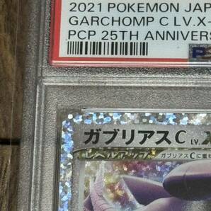 ポケモンカード ガブリアス C 25th PSA9の画像2