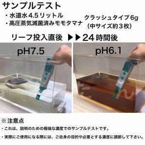 高圧蒸気滅菌済み沖縄県産無農薬モモタマナ クラッシュタイプ15パック（20cm前後の葉が約18枚相当）マジックリーフの画像3