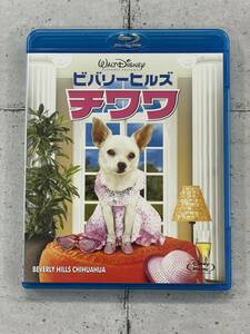 ビバリーヒルズ・チワワ　Blu-ray　パイパー・ペラーボ　ジェイミー・リー・カーティス　セル版　※E2