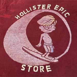 HOLLISTER EPIC STORE；【美品】Tシャツ(半袖) Size M