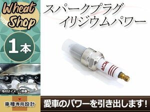 スパークプラグ イリジウムパワー 日産 ダットサン(トラック・ピックアップ) QD21・QGD21・QYD21・QMD21 NA20S 年式89.9～92.8