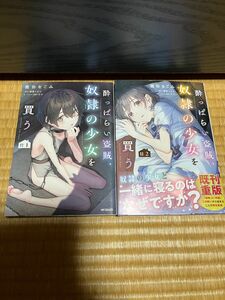 酔っぱらい盗賊、奴隷の少女を買う　1、２巻セット（ＭＦコミックス　アライブ＋シリーズ） 幾弥なごみ／著　新巻へもん／原作