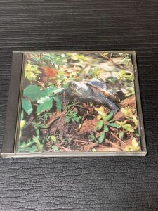 ★レア盤★あぶらだこ★亀盤★CD★1996★TOKUMA★WAX RECORDS★