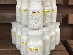 高品質・高性能　BREED菌糸ビン　1100ml　16本　特価（ブリード　菌糸瓶　菌床）希望本数注文可能