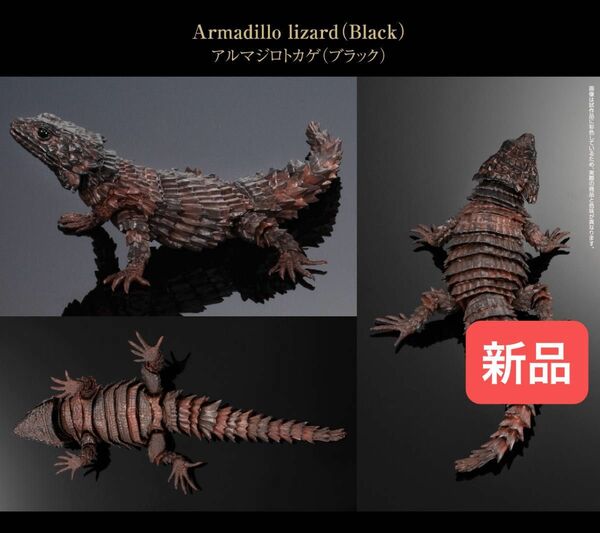 【新品】　アルマジロトカゲ（ブラック）　オンライン版　いきもの大図鑑アドバンス　バンダイ　生き物　ガチャ