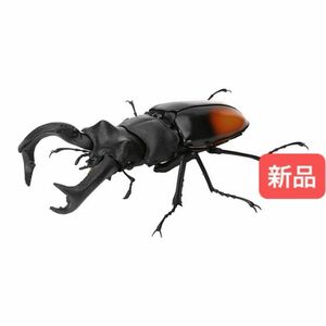 【新品】　パリーフタマタクワガタ　いきもの大図鑑くわがた06 バンダイ　生き物　ガチャ