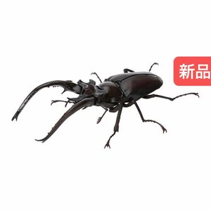 【新品】　プラネットミヤマクワガタ　いきもの大図鑑くわがた06 バンダイ　生き物　昆虫　フィギュア　ガチャ