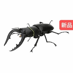 【新品】　ノコギリクワガタ（本土）黒　いきもの大図鑑くわがた06 バンダイ　生き物　昆虫　フィギュア　ガチャ