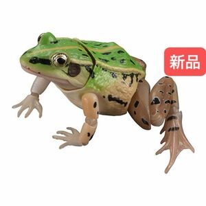 【新品】　トノサマガエル（オス、緑色）　いきもの大図鑑　バンダイ　生き物　昆虫　フィギュア　ガチャ