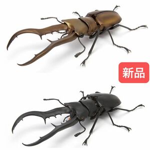 【新品】　メタリフェルホソアカクワガタ（ブロンズ、ブラック）　いきもの大図鑑　バンダイ　生き物　昆虫　フィギュア　ガチャ