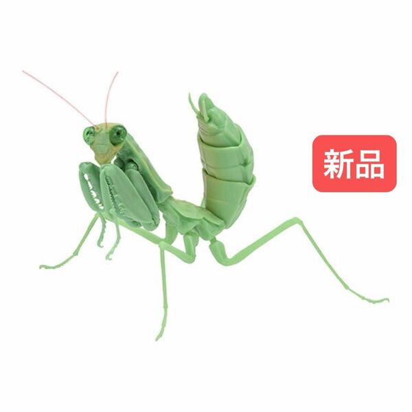 【新品】　ハラビロカマキリ（幼体・緑）　いきもの大図鑑かまきり03 バンダイ　生き物　昆虫　フィギュア　ガチャ