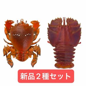 【新品】　アサヒガニ　ウチワエビ　いきもの大図鑑ミニコレクション　甲殻類01 　バンダイ　生き物　昆虫　フィギュア　ガチャ